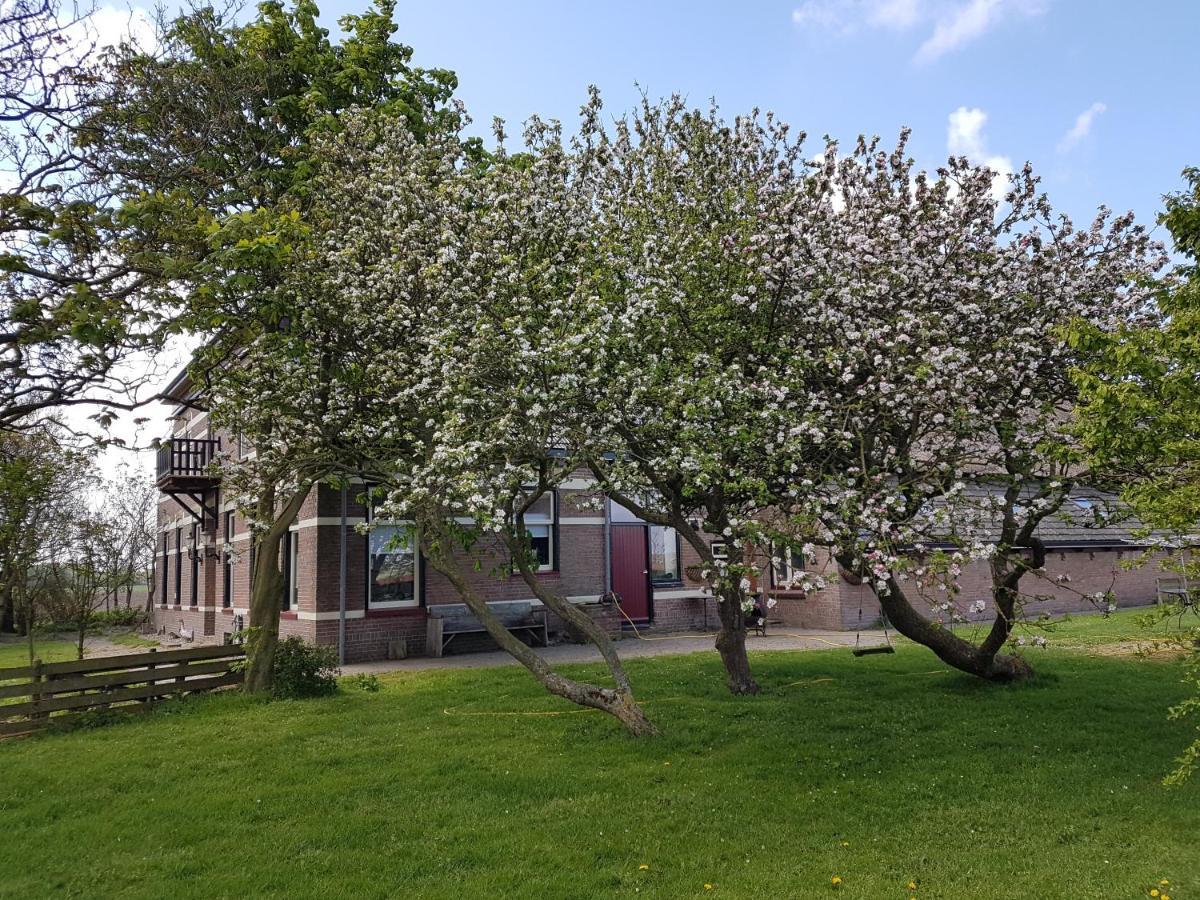 Bed and Breakfast Hunsingo Texel Де-Коксдорп Экстерьер фото